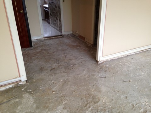 Re structuration d'un parquet grand siècle